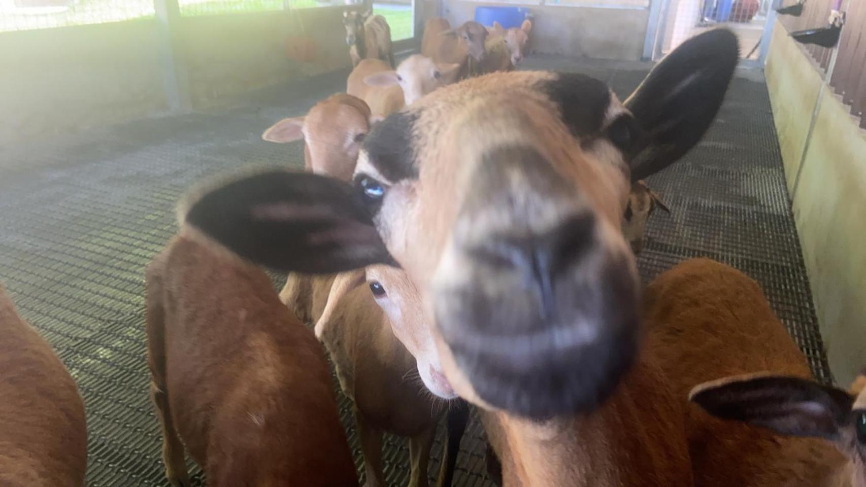 River Forest Leisure Farm Dongshan  Bagian luar foto