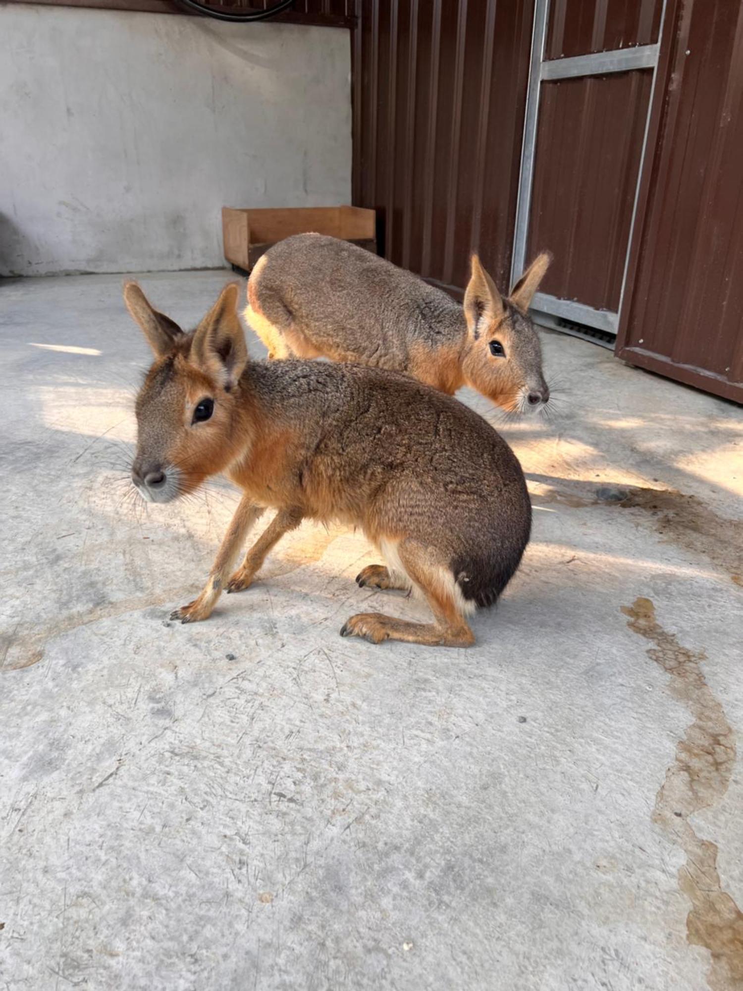 River Forest Leisure Farm Dongshan  Bagian luar foto