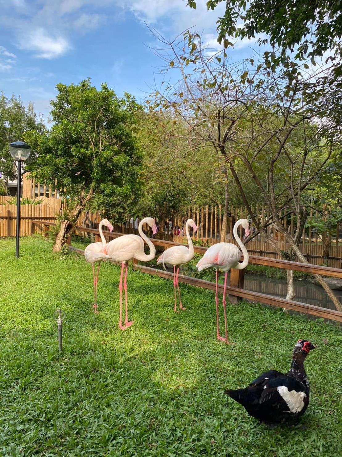 River Forest Leisure Farm Dongshan  Bagian luar foto