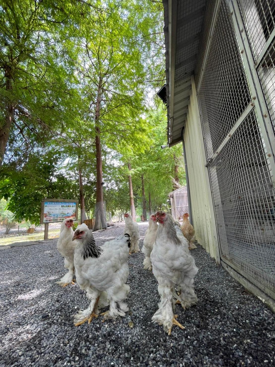 River Forest Leisure Farm Dongshan  Bagian luar foto
