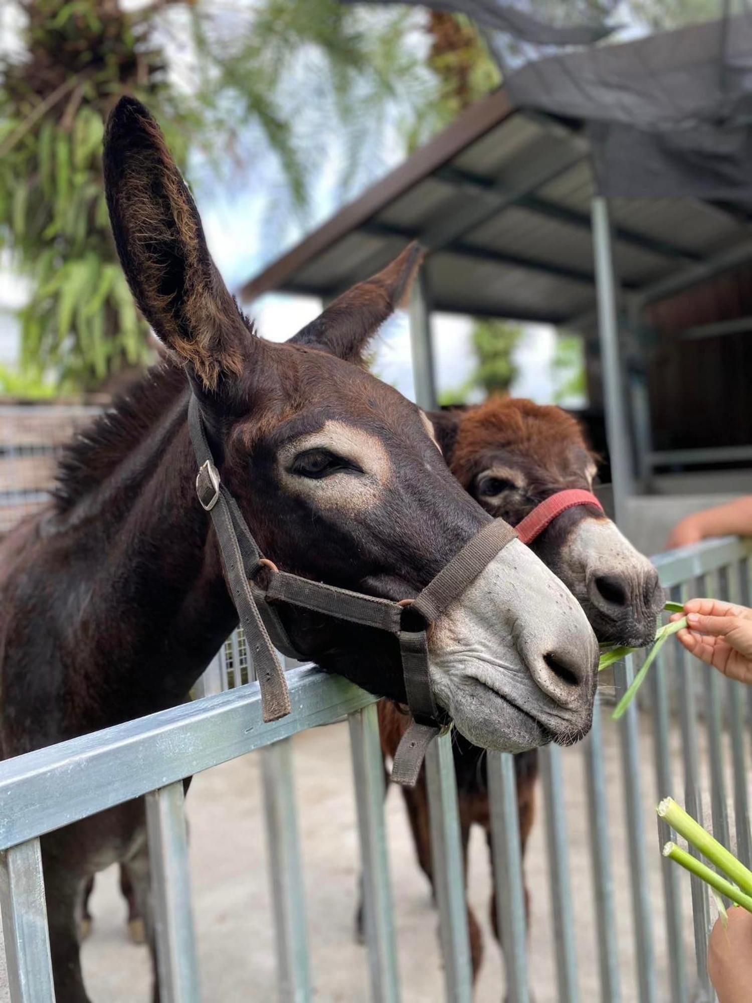 River Forest Leisure Farm Dongshan  Bagian luar foto